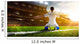 Soccer player in action Wall Mural