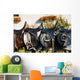 Leather saddle horse Wall Mural