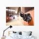 Leather saddle horse Wall Mural