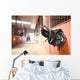 Leather saddle horse Wall Mural