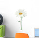 Daisy isolated. Vector illustration Wall Decal