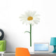 Daisy isolated. Vector illustration Wall Decal