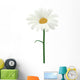 Daisy isolated. Vector illustration Wall Decal