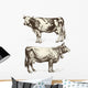 cows Wall Decal