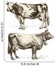 cows Wall Decal