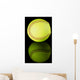 Softball on black reflective background. Wall Mural