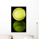 Softball on black reflective background. Wall Mural