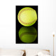 Softball on black reflective background. Wall Mural