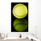 Softball on black reflective background. Wall Mural