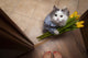 Cat With A Bouquet At The Feet Of Mistress Wall Decal