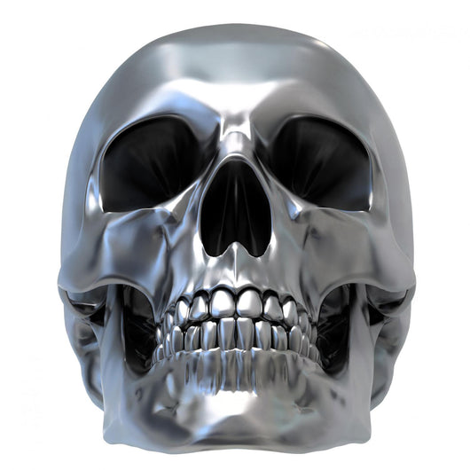 Metallic Skull Wall Decal