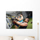Real people training crossfit Wall Mural