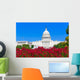 Capitol building Washington DC pink flowers USA Wall Mural