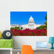 Capitol building Washington DC pink flowers USA Wall Mural