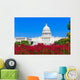 Capitol building Washington DC pink flowers USA Wall Mural