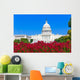 Capitol building Washington DC pink flowers USA Wall Mural