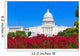 Capitol building Washington DC pink flowers USA Wall Mural