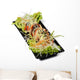 Sushi Teller Frisch 2 Wall Decal