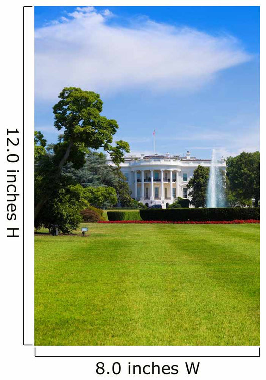 The White House in Washington DC USA Wall Mural