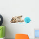 Cat with ball of yarn Wall Decal