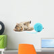 Cat with ball of yarn Wall Decal