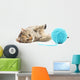 Cat with ball of yarn Wall Decal