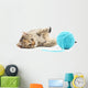 Cat with ball of yarn Wall Decal