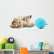 Cat with ball of yarn Wall Decal