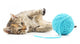 Cat With Ball Of Yarn Wall Decal