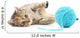 Cat with ball of yarn Wall Decal