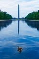 Washington Monument Morning Reflecting Pool Wall Decal