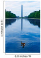 Washington Monument morning reflecting pool Wall Mural