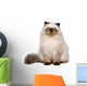 Cute Persian Seal Colourpoint Wall Decal