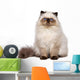 Cute Persian Seal Colourpoint Wall Decal
