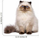 Cute Persian Seal Colourpoint Wall Decal