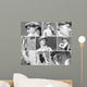 group of images with  David's  statue by Michelangelo in  Floren Wall Mural