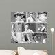 group of images with  David's  statue by Michelangelo in  Floren Wall Mural