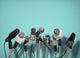 Press Conference With Standing Microphones. Wall Decal