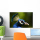 portrait of a peacock Wall Mural