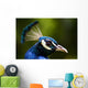 portrait of a peacock Wall Mural