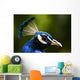 portrait of a peacock Wall Mural