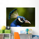portrait of a peacock Wall Mural
