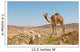 camel in the Negev desert Wall Mural