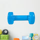 Gymnastics dumbbell Wall Decal