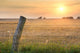 Meadow and Fence Wall Decal