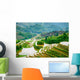 Guilin, China Rice Terraces Wall Mural