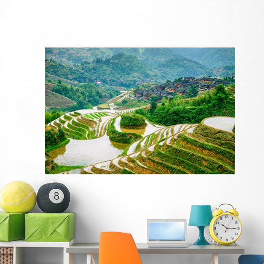 Guilin, China Rice Terraces Wall Mural