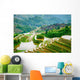 Guilin, China Rice Terraces Wall Mural