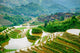 Guilin, China Rice Terraces Wall Decal