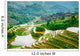 Guilin, China Rice Terraces Wall Mural